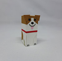 ハコクラ：ジャックラッセルテリア